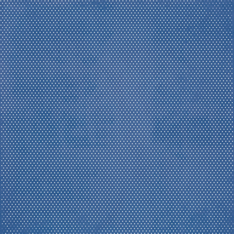 Simple Vintage Essentials Color Palette Blue & Purple Dots