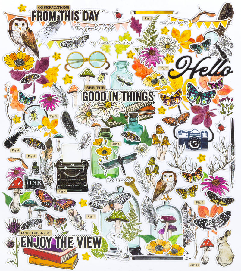 BACK SOON - 49 & Market - Curiosities in Willow Grove Ephemera Icons & Titles