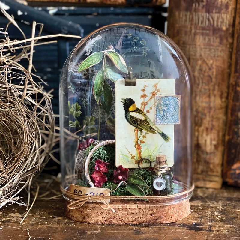 Tim Holtz Idea-ology Reliquary Dome