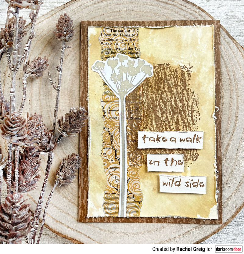 Darkroom Door Texture Stamp Tree Bark