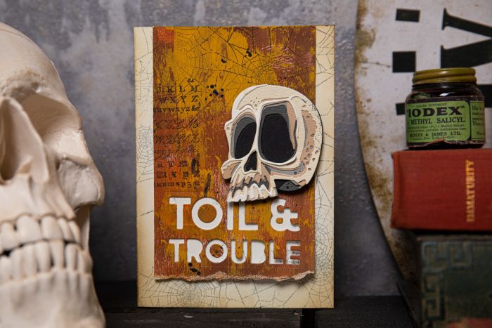 Sizzix Thinlits Dies by Tim Holtz Spencer Colorize