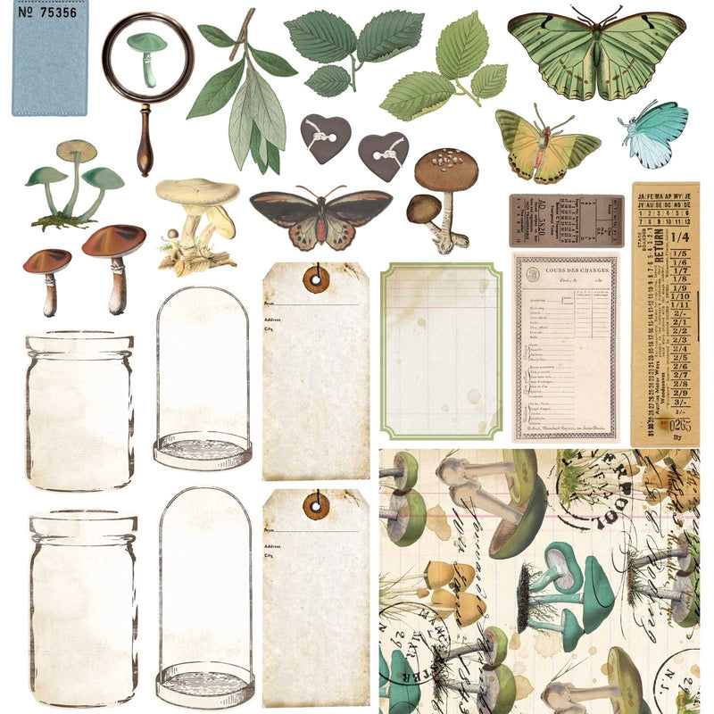 Nature Study 12x12 Collection Pack