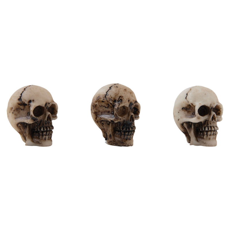 Tim Holtz Idea-ology Skulls & Bones