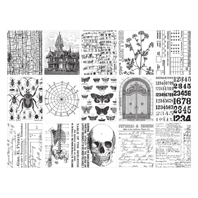 Tim Holtz Idea-ology Halloween 2024 Collage Paper