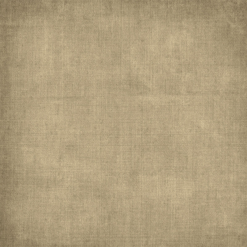 49 & Market - Botanical Buzz 12x12 Solids 