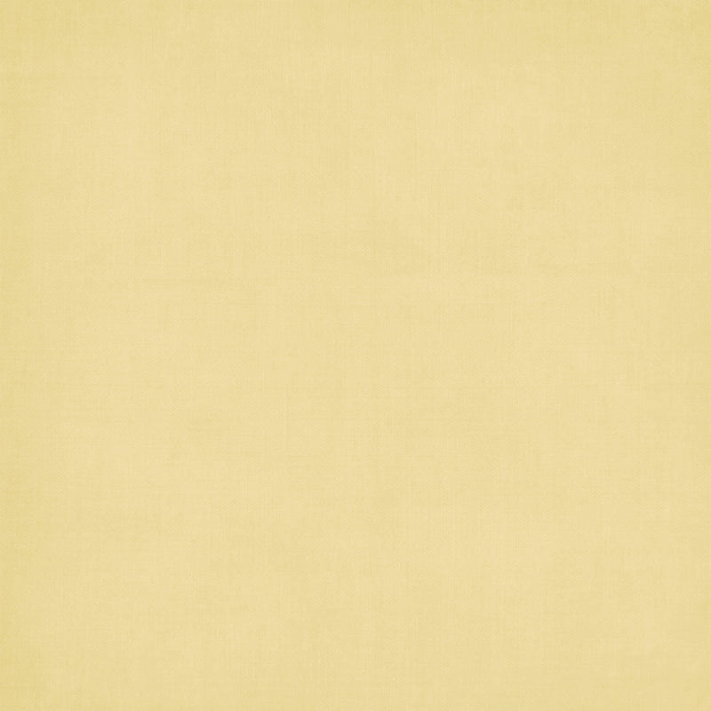 49 & Market - Botanical Buzz 12x12 Solids 