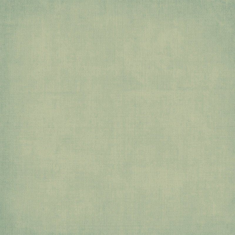 49 & Market - Botanical Buzz 12x12 Solids 