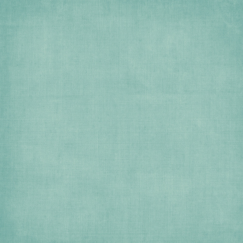 49 & Market - Botanical Buzz 12x12 Solids 