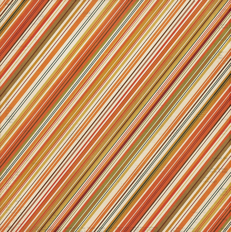 PhotoPlay - Autumn Junque Autumn Colors