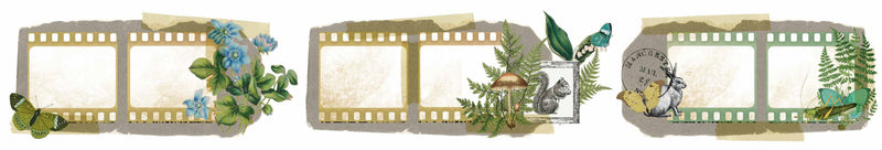 Arden Creative - Hidden Creek Filmstrip Kiss-cut PET Tape