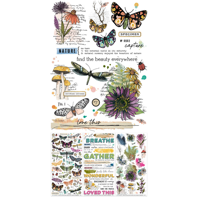 COMING SOON - 49 & Market - Curiosities in Willow Grove Essentials Rub Ons