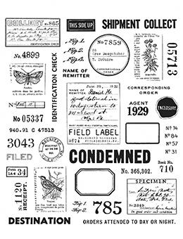 Tim Holtz Cling Stamps Field Notes