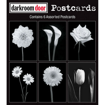 Darkroom Door Postcards Viva La Flora