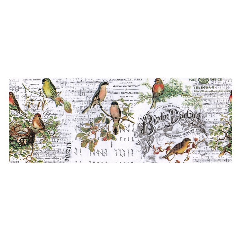 Tim Holtz Idea-ology Collage Paper Aviary