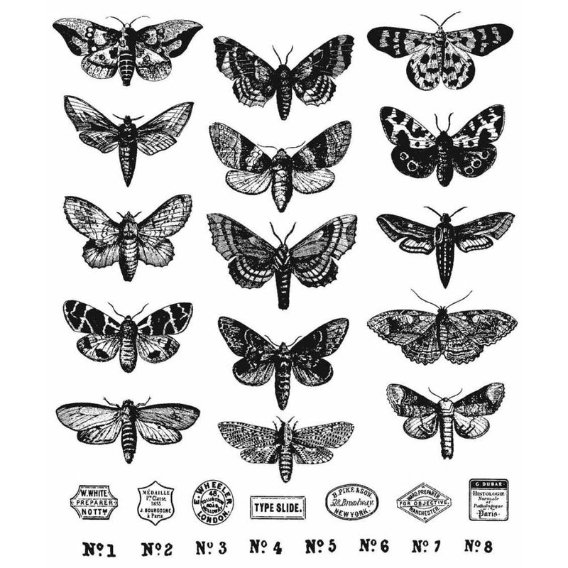 Tim Holtz Cling Stamps Moth Study