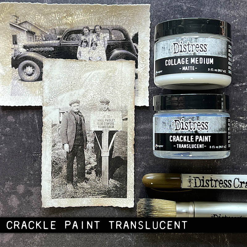 Tim Holtz Distress Crackle Paint Translucent
