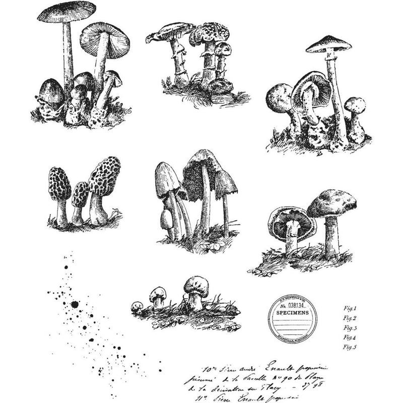 Tim Holtz Cling Stamps Tiny Toadstools